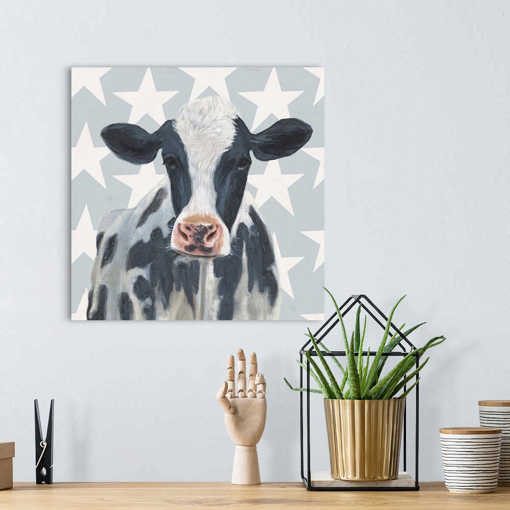 A bohemian room featuring Square painting of a black and white spotted cow on a gray and white star patterned background.