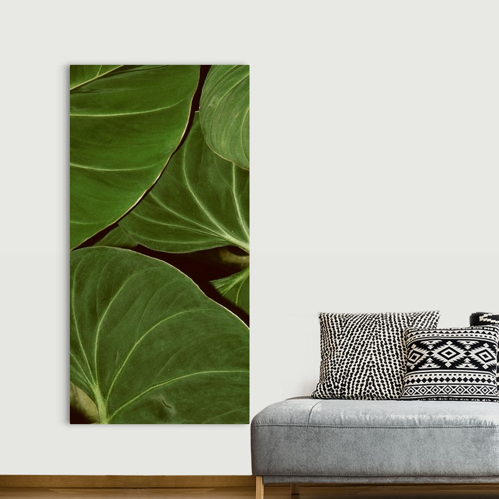 A bohemian room featuring Patterned Nature III