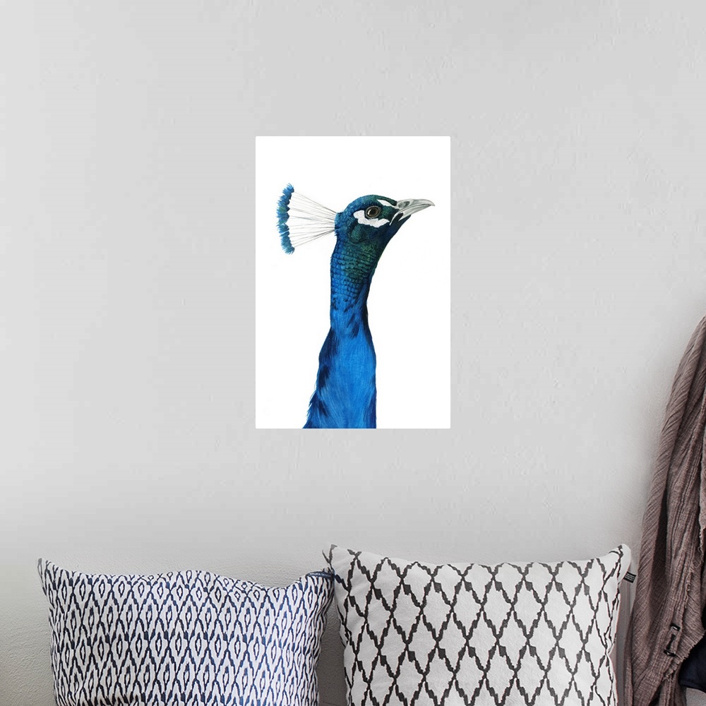A bohemian room featuring Peacock Portrait I
