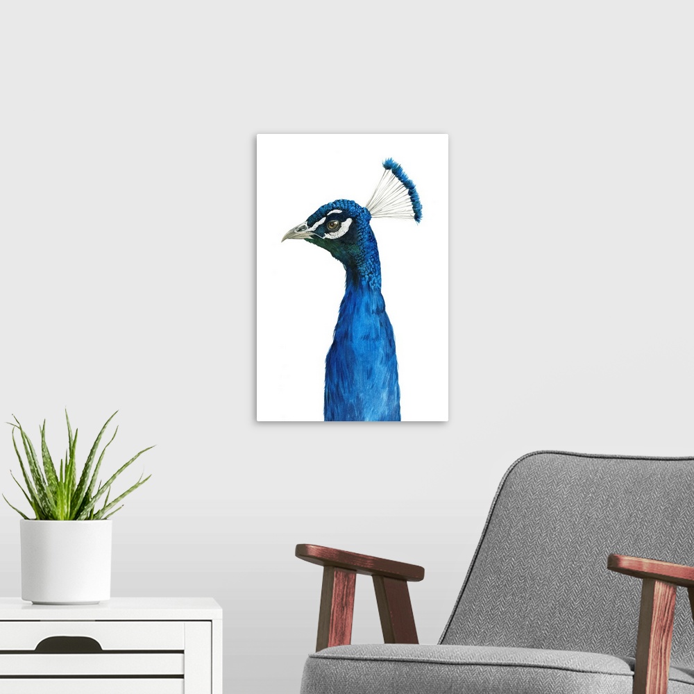 A modern room featuring Peacock Portrait II