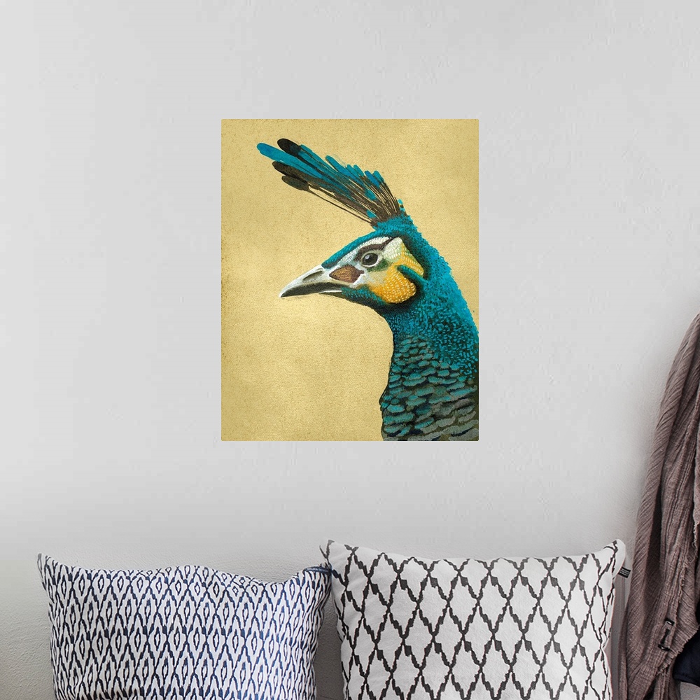 A bohemian room featuring Peacock Profile I