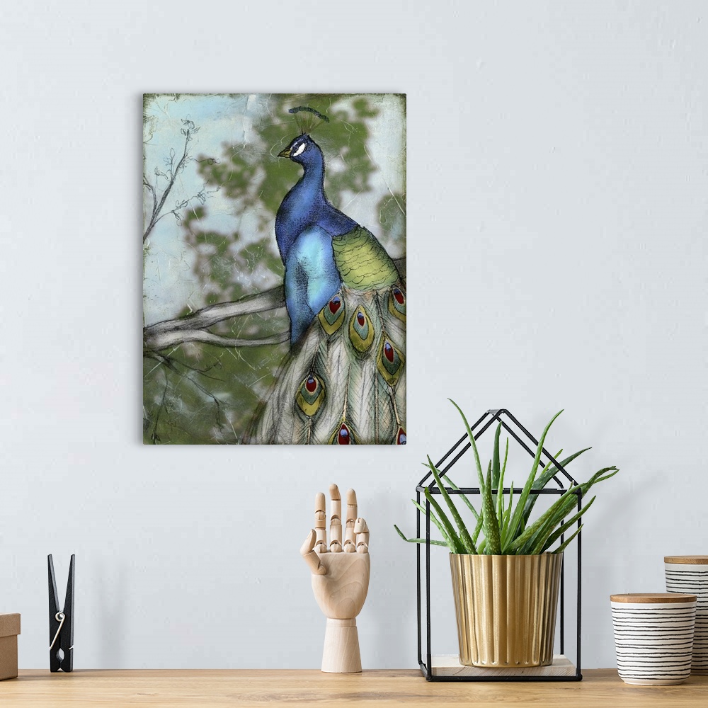 A bohemian room featuring Peacock Reflections I