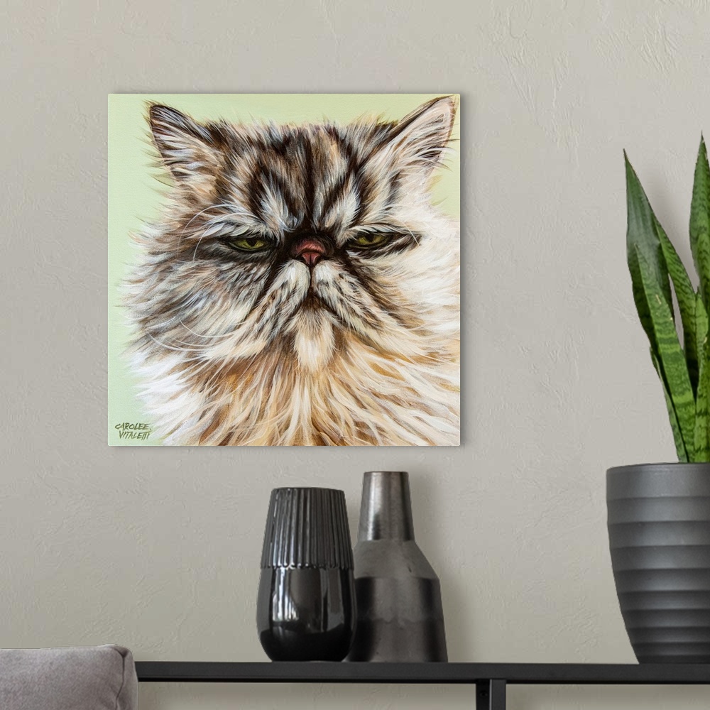 A modern room featuring Persian Cat I