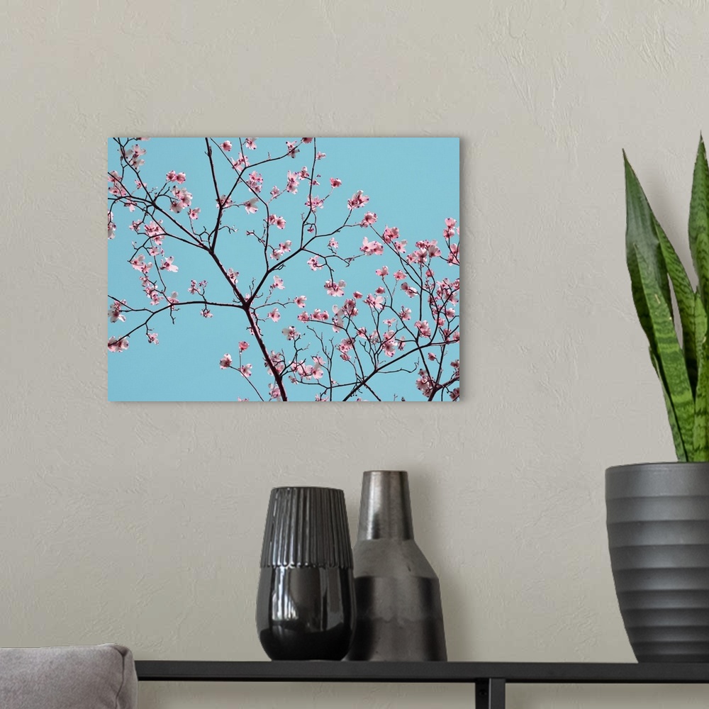 A modern room featuring A snapshot of nature and its beauty, this photo features white cherry blossoms and their branches...