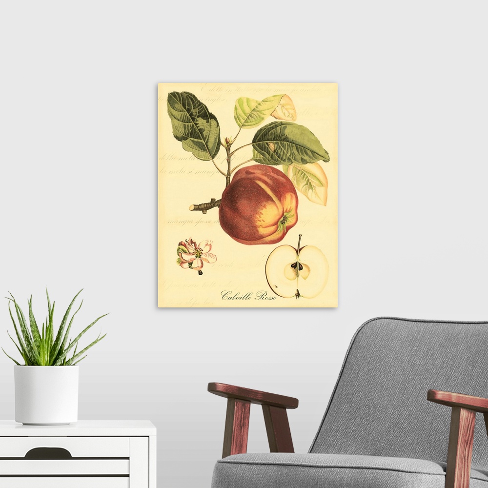 A modern room featuring Petite Tuscan Fruits I