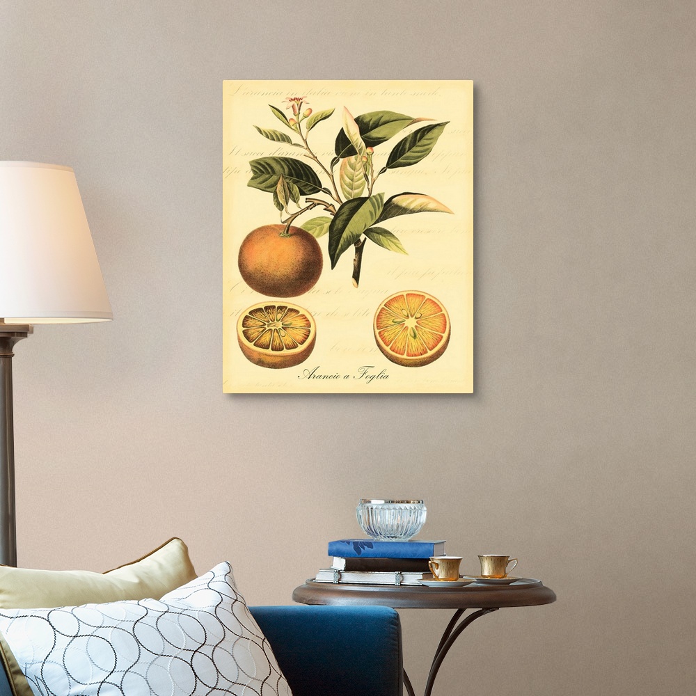 A traditional room featuring Petite Tuscan Fruits III
