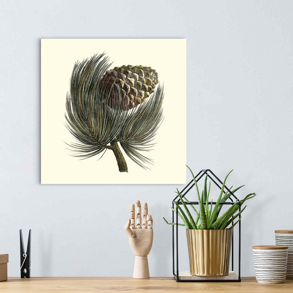 A bohemian room featuring Contemporary artwork of a pine cone on the end of a branch in a vintage illustrative style.