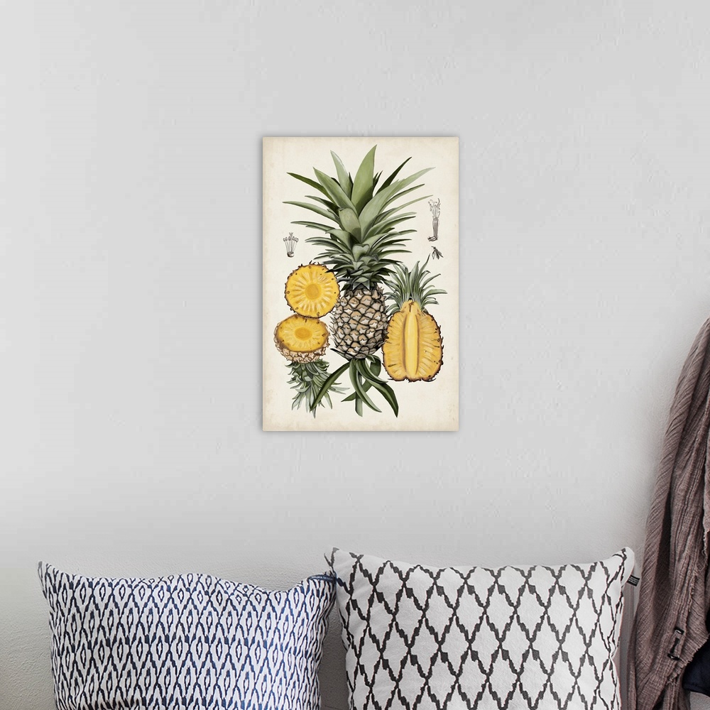 A bohemian room featuring Pineapple Botanical Study I