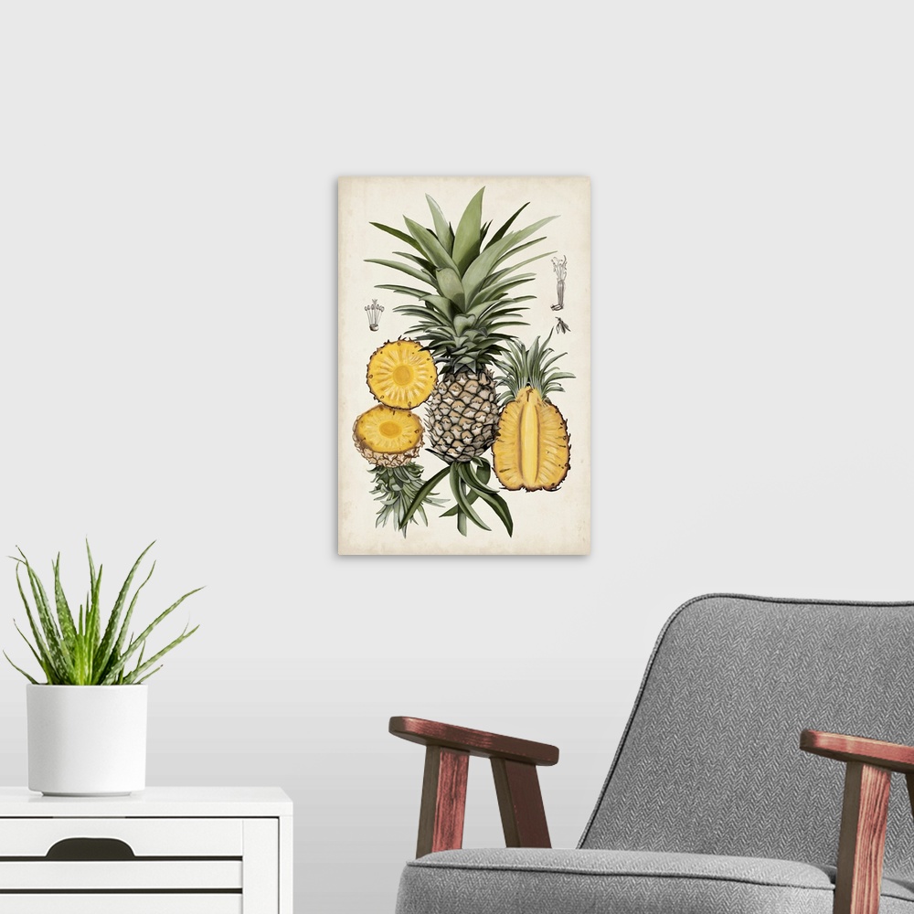 A modern room featuring Pineapple Botanical Study I