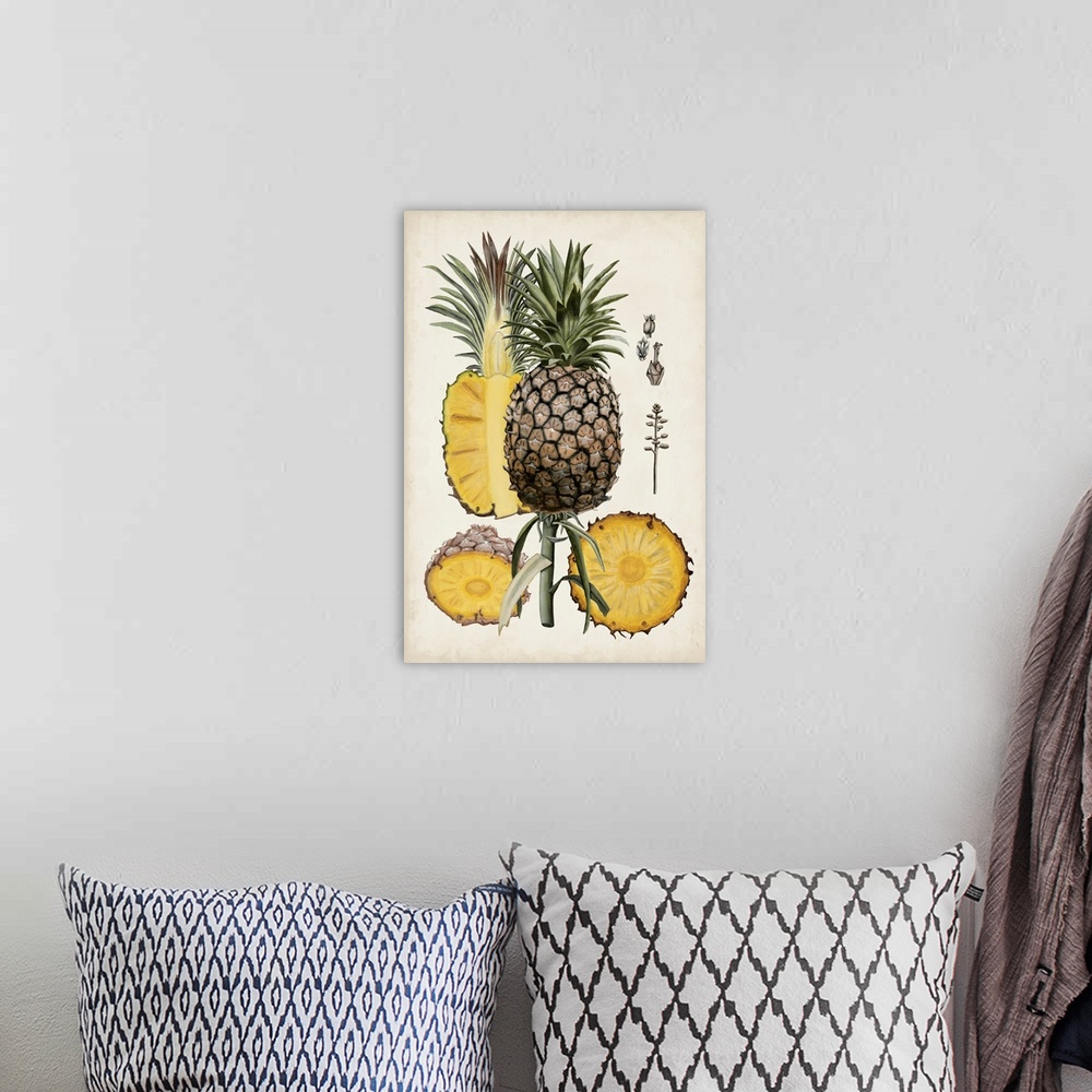 A bohemian room featuring Pineapple Botanical Study II