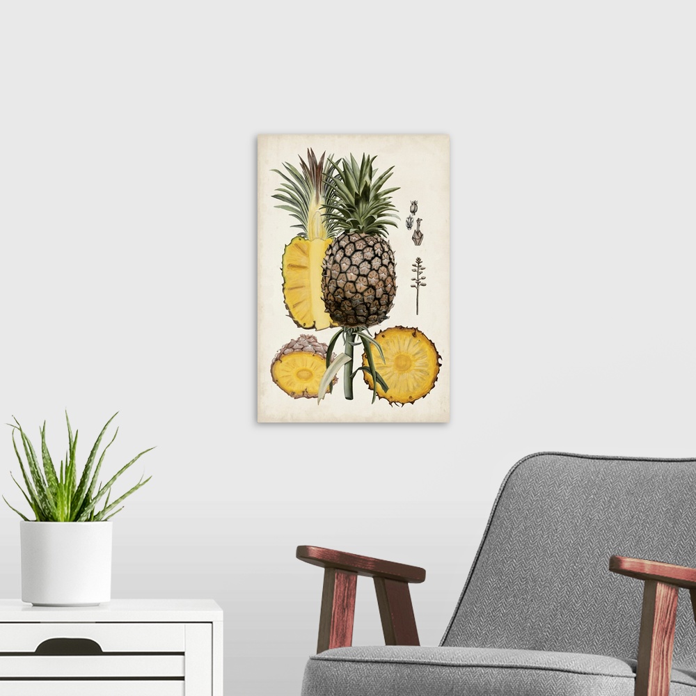 A modern room featuring Pineapple Botanical Study II