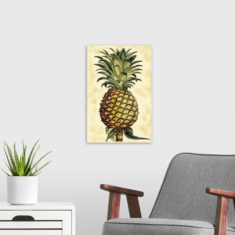 A modern room featuring Vintage stylized illustration of a pineapple.