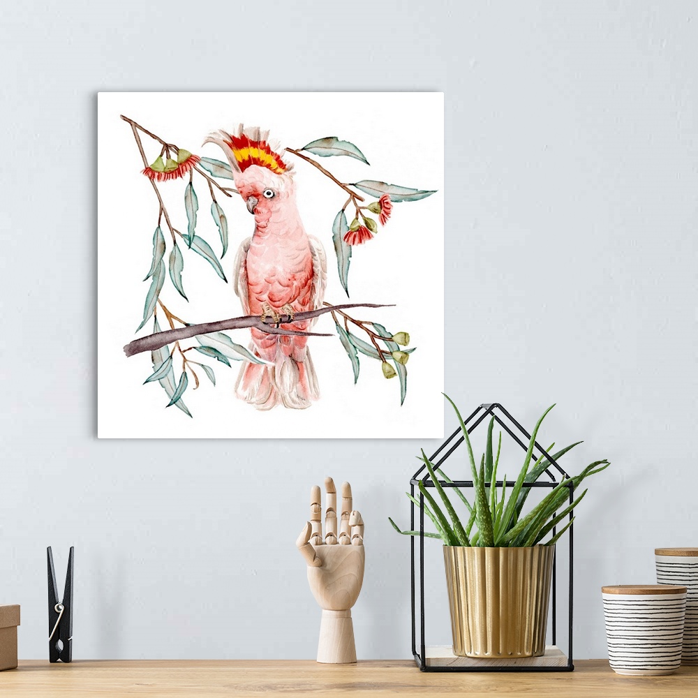 A bohemian room featuring Pink Cockatoo I
