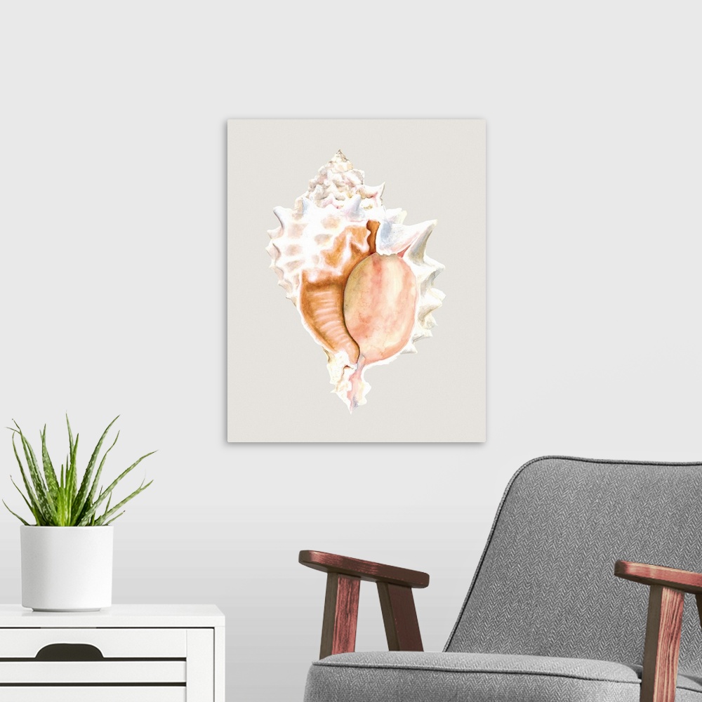 A modern room featuring Contemporary artwork of a detailed seashell.