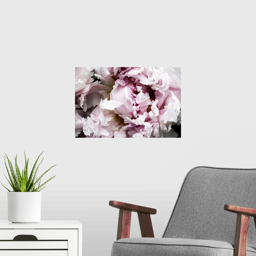A modern room featuring Pink Peony Passion II