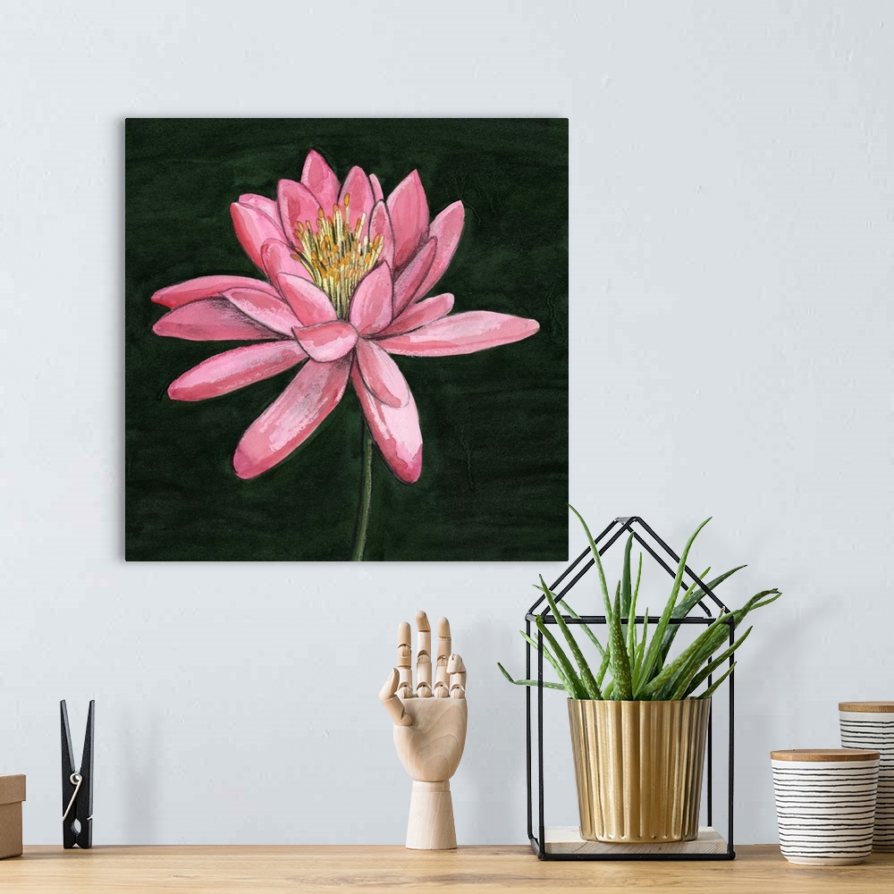 A bohemian room featuring Pink Waterlily I