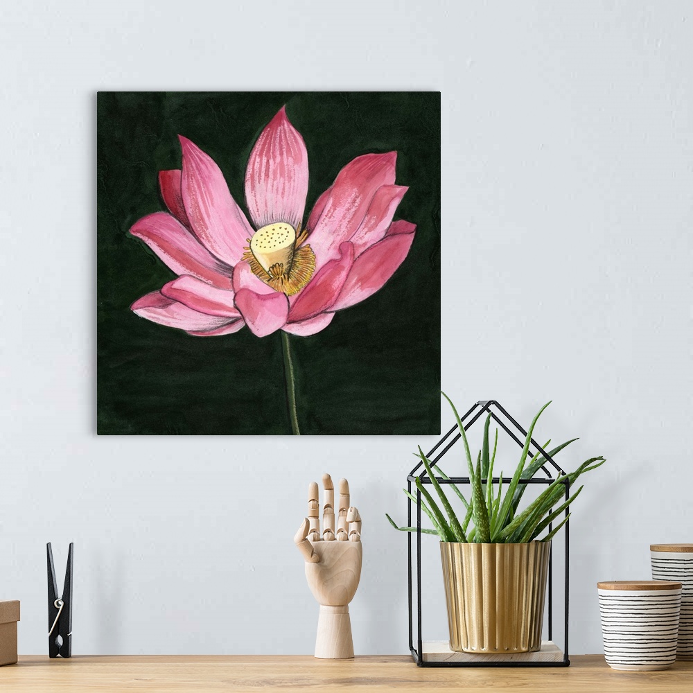 A bohemian room featuring Pink Waterlily II
