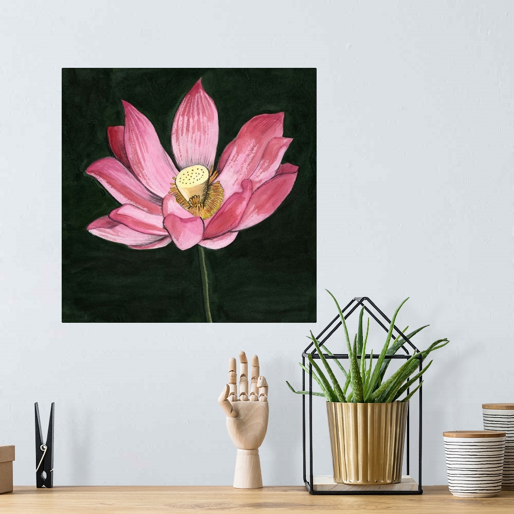 A bohemian room featuring Pink Waterlily II