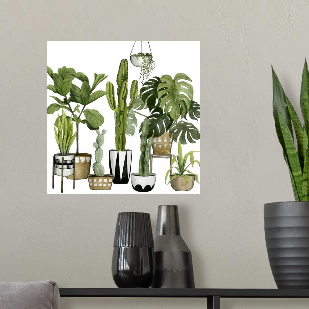 A modern room featuring Illustration of a large collection of tropical plants and succulents, including palms and cacti.