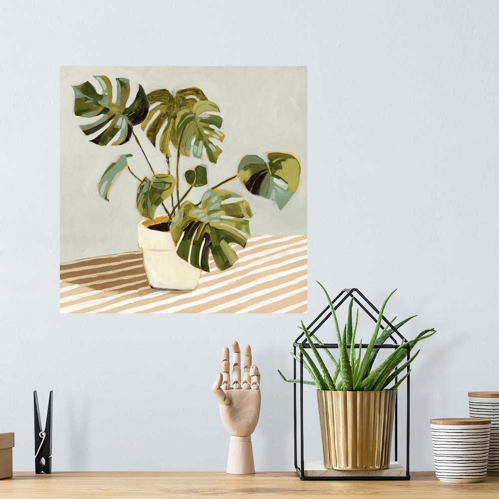 A bohemian room featuring Plant On Stripes II