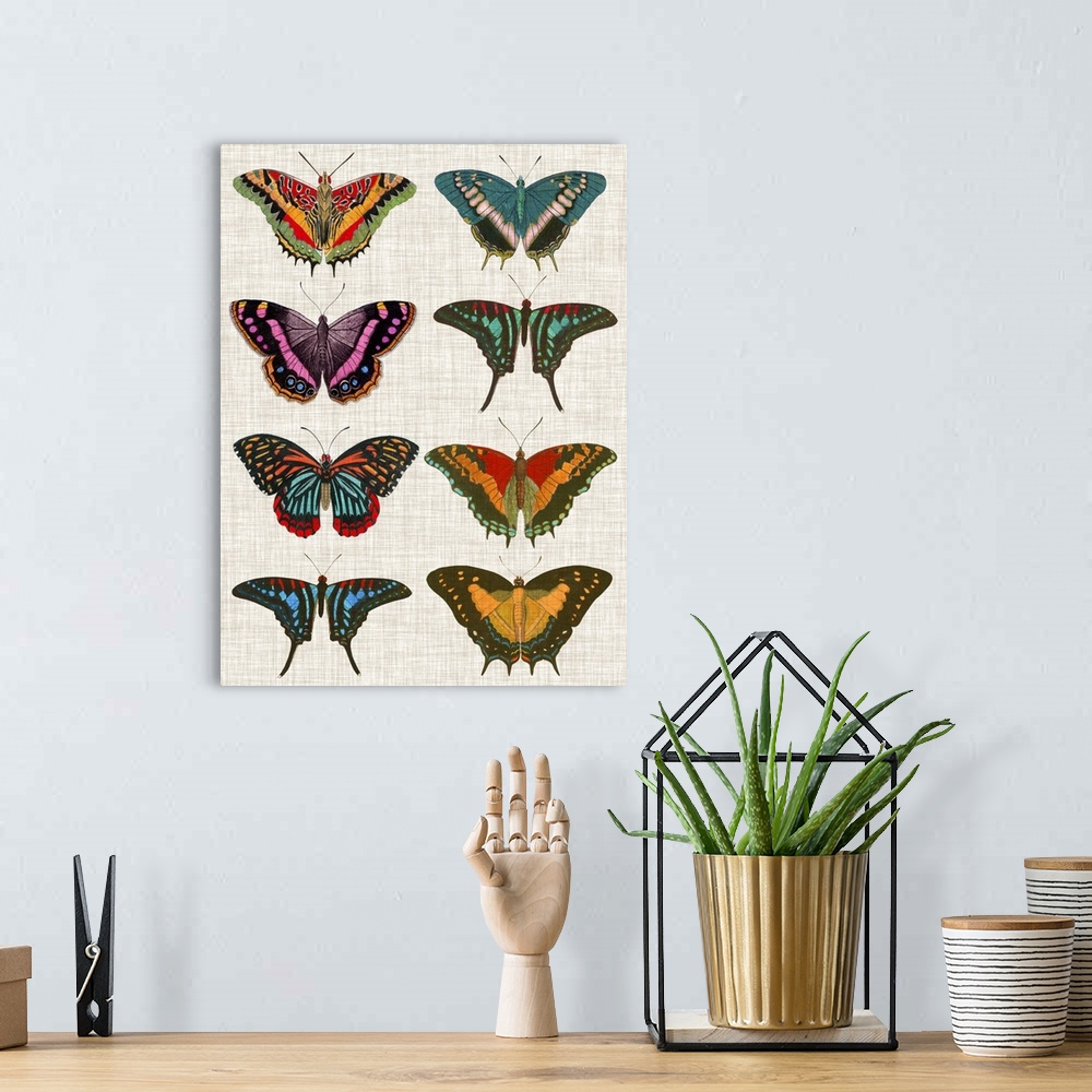 A bohemian room featuring An assortment of butterflies of varying bright colors and patterns on a linen background.