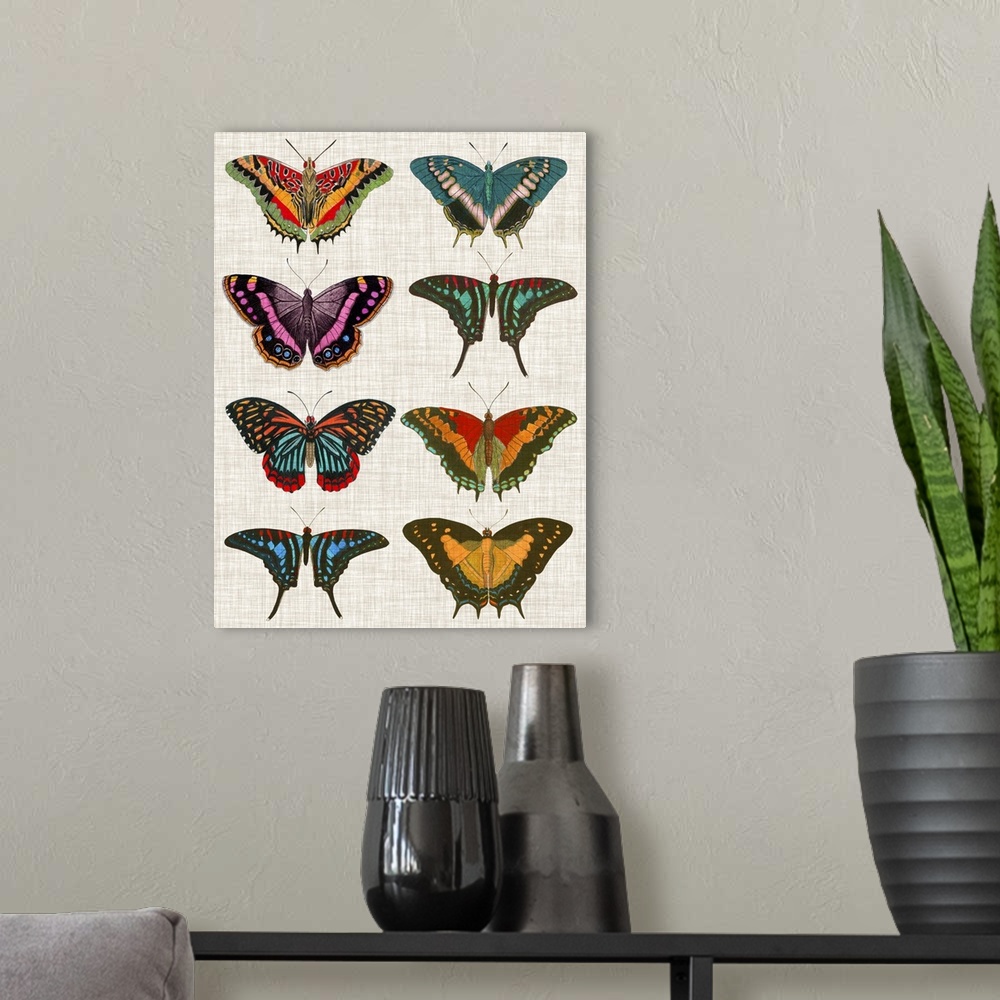 A modern room featuring An assortment of butterflies of varying bright colors and patterns on a linen background.