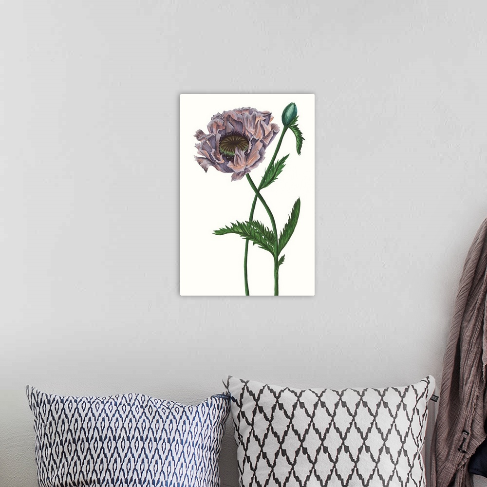 A bohemian room featuring Home decor artwork of an illustration of a purple poppy.