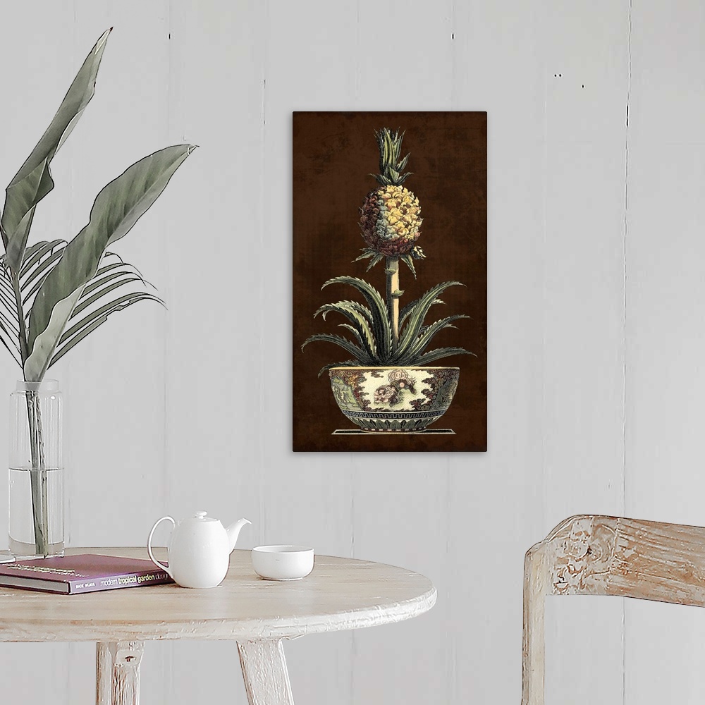 A farmhouse room featuring Potted Pineapple II