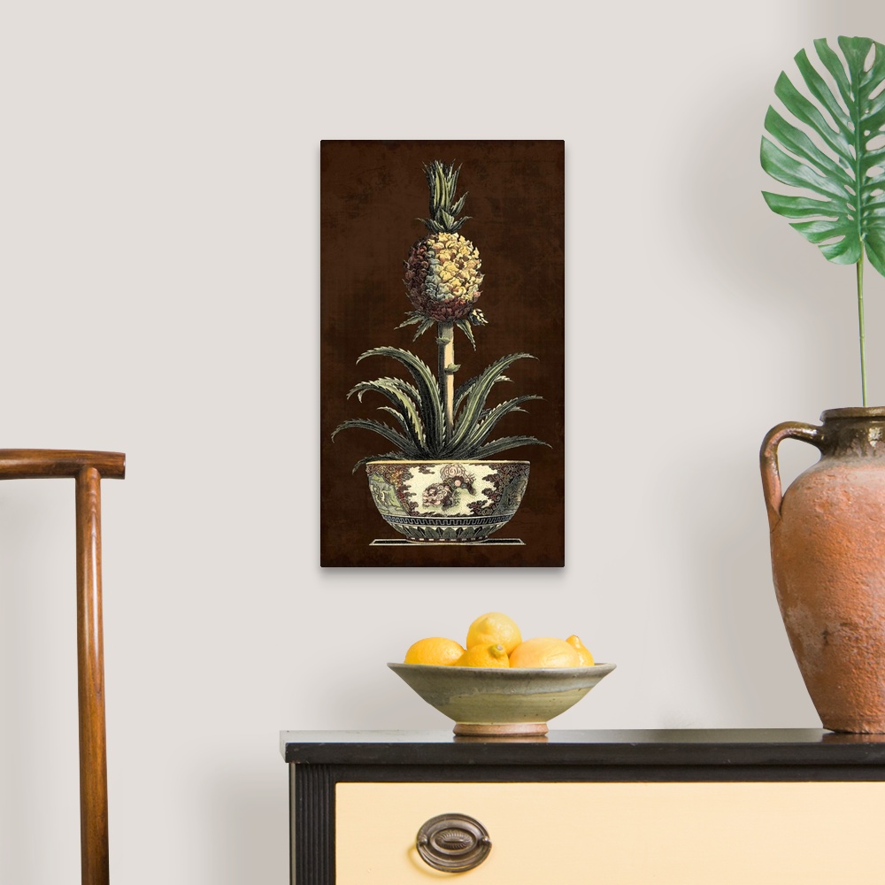 A traditional room featuring Potted Pineapple II