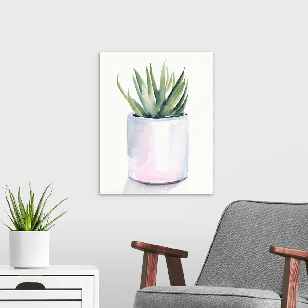 A modern room featuring Potted Succulent III