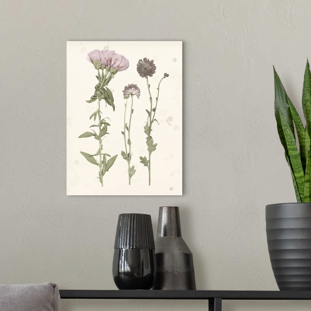 A modern room featuring Pressed Blooms III