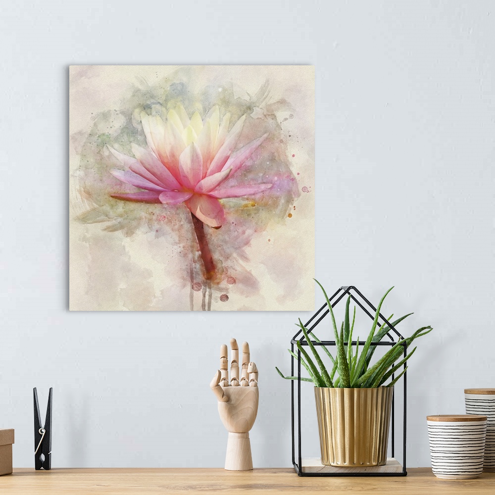 A bohemian room featuring A pink and white water lily rendered in watercolors.