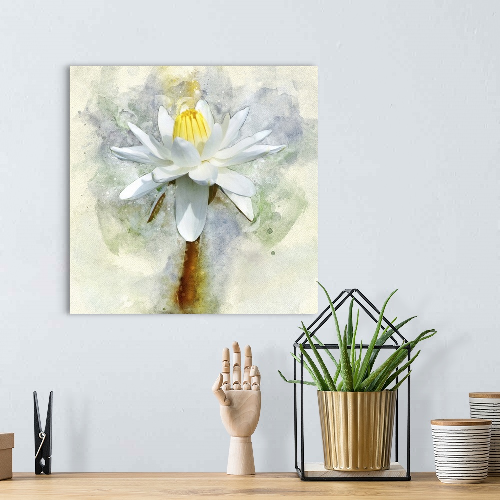A bohemian room featuring A white water lily rendered in watercolors.