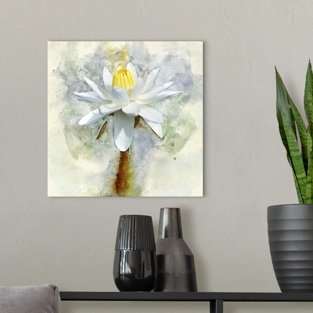 A modern room featuring A white water lily rendered in watercolors.