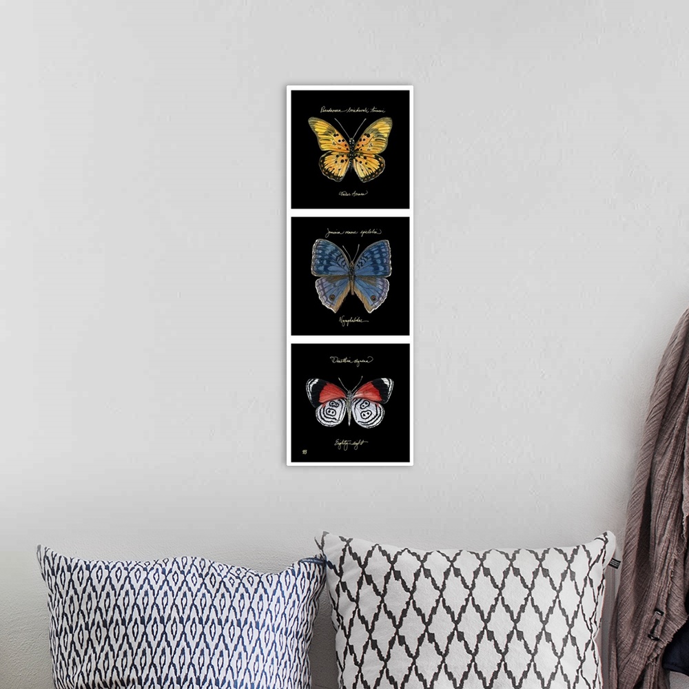 A bohemian room featuring Primary Butterfly Panel II