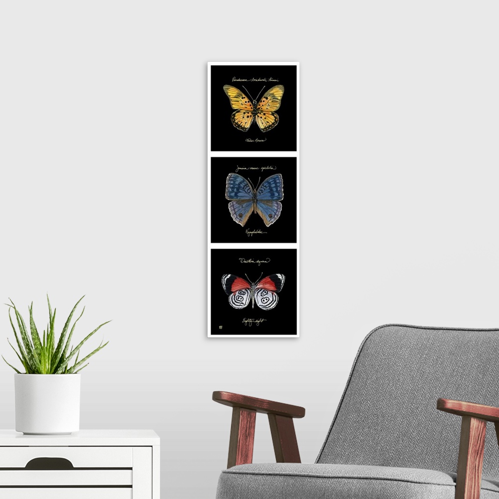 A modern room featuring Primary Butterfly Panel II