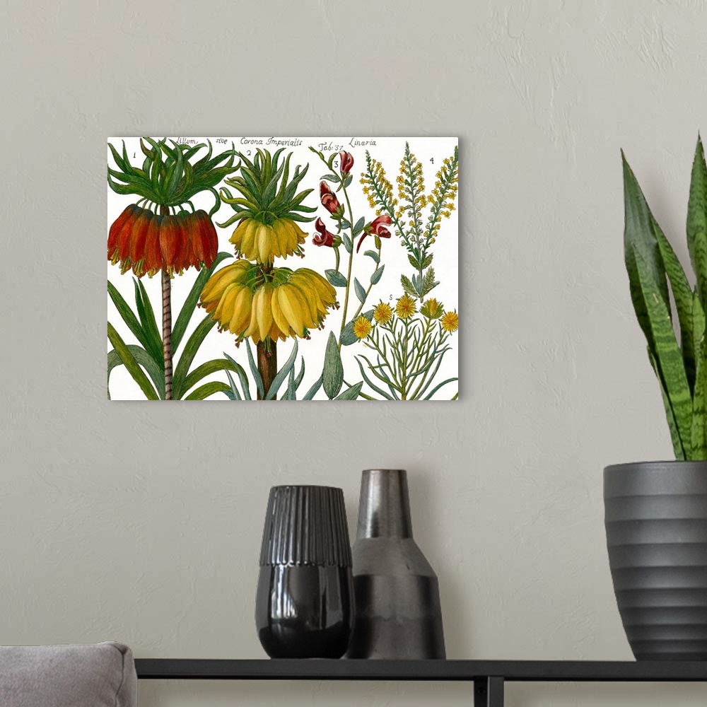 A modern room featuring Printed Arena Botanical I