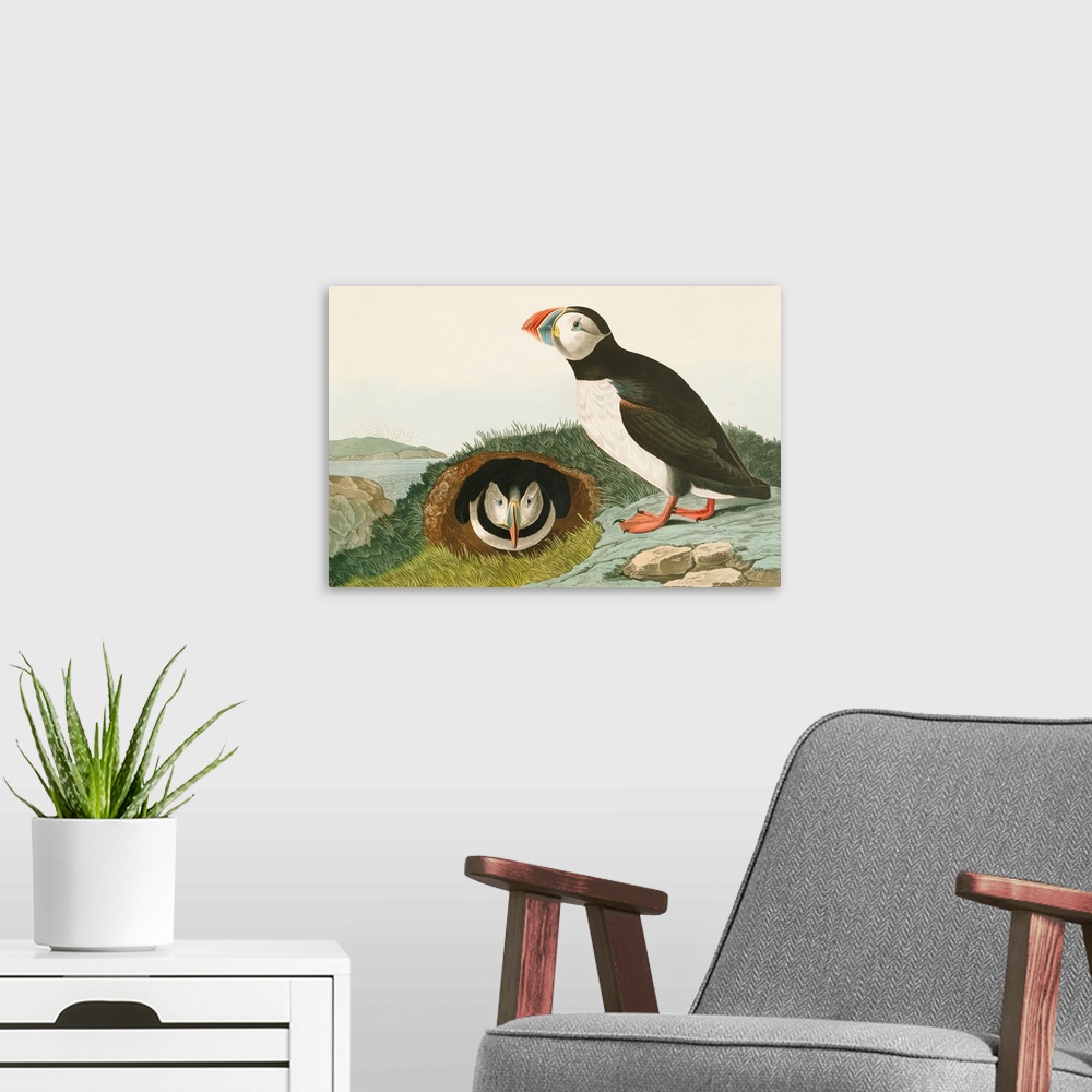 A modern room featuring Puffin