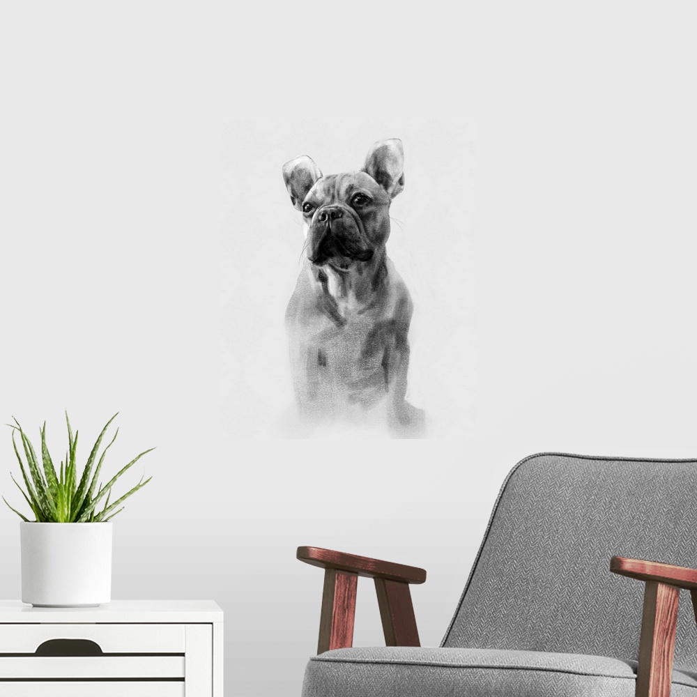 A modern room featuring Pug Portrait I