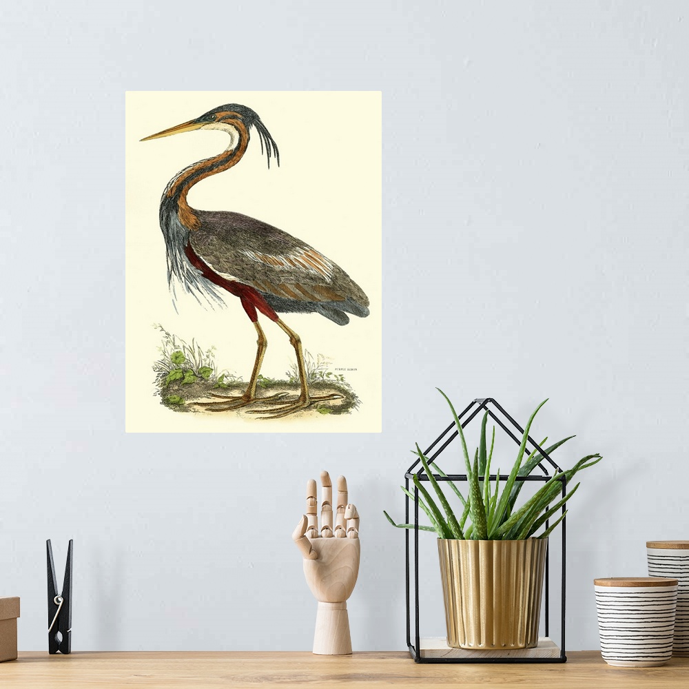 A bohemian room featuring Contemporary artwork of a vintage style bird illustration.
