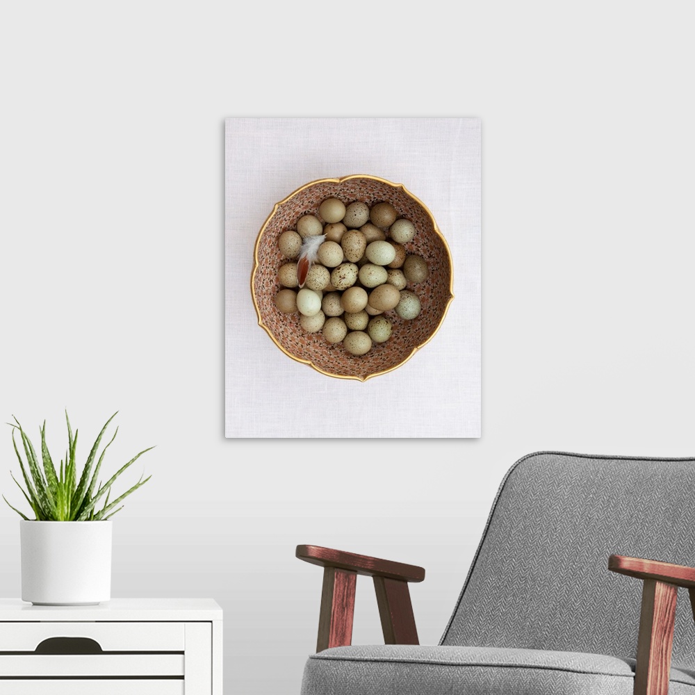 A modern room featuring Quail Eggs On Pink Plate