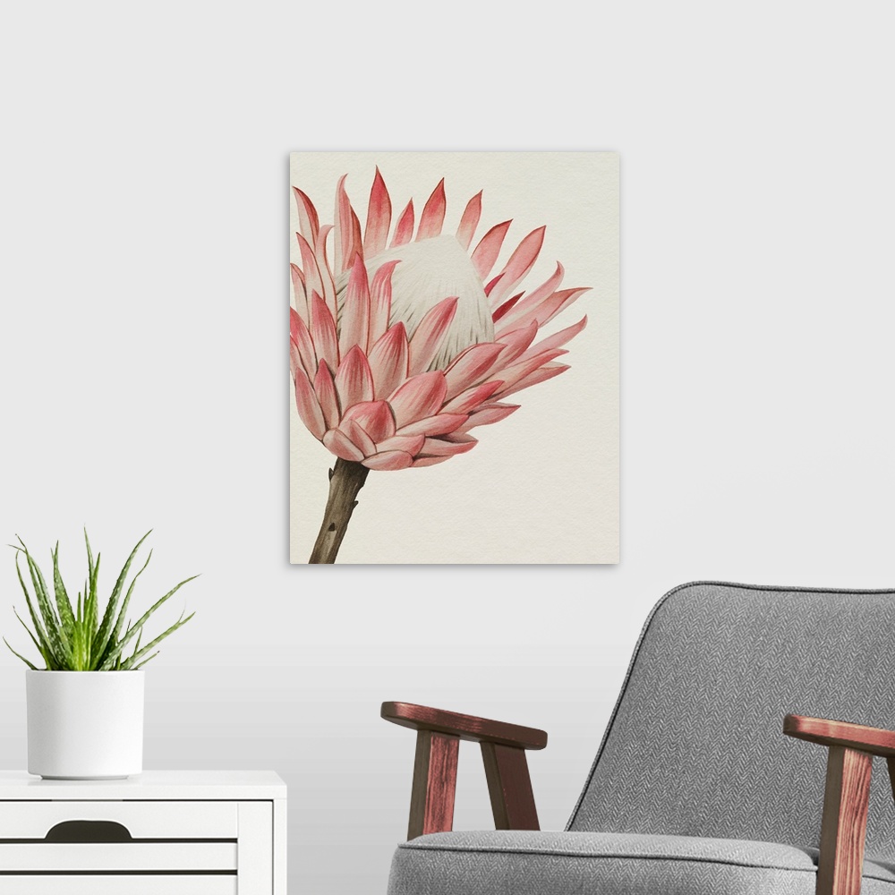 A modern room featuring Queen Protea I