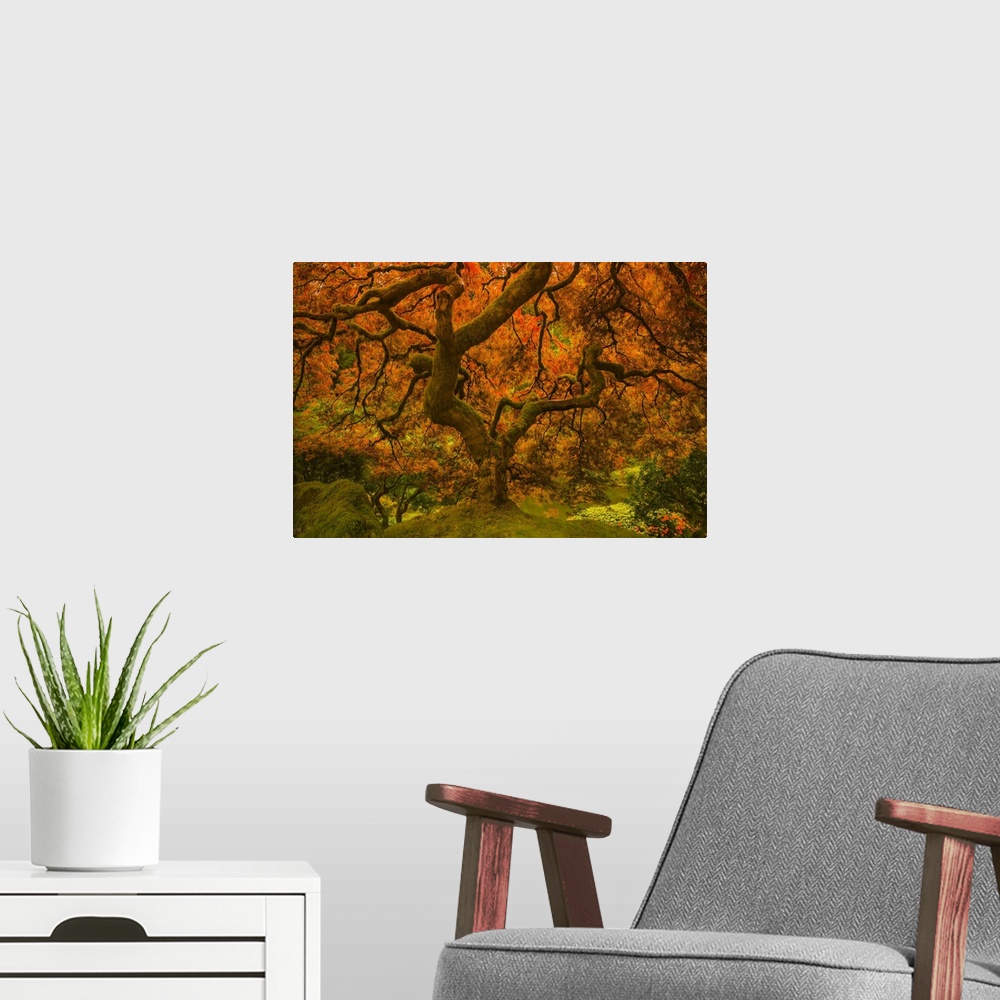 A modern room featuring In this photograph, leaves of orange radiance cascade the twisting old branches of a tree while r...
