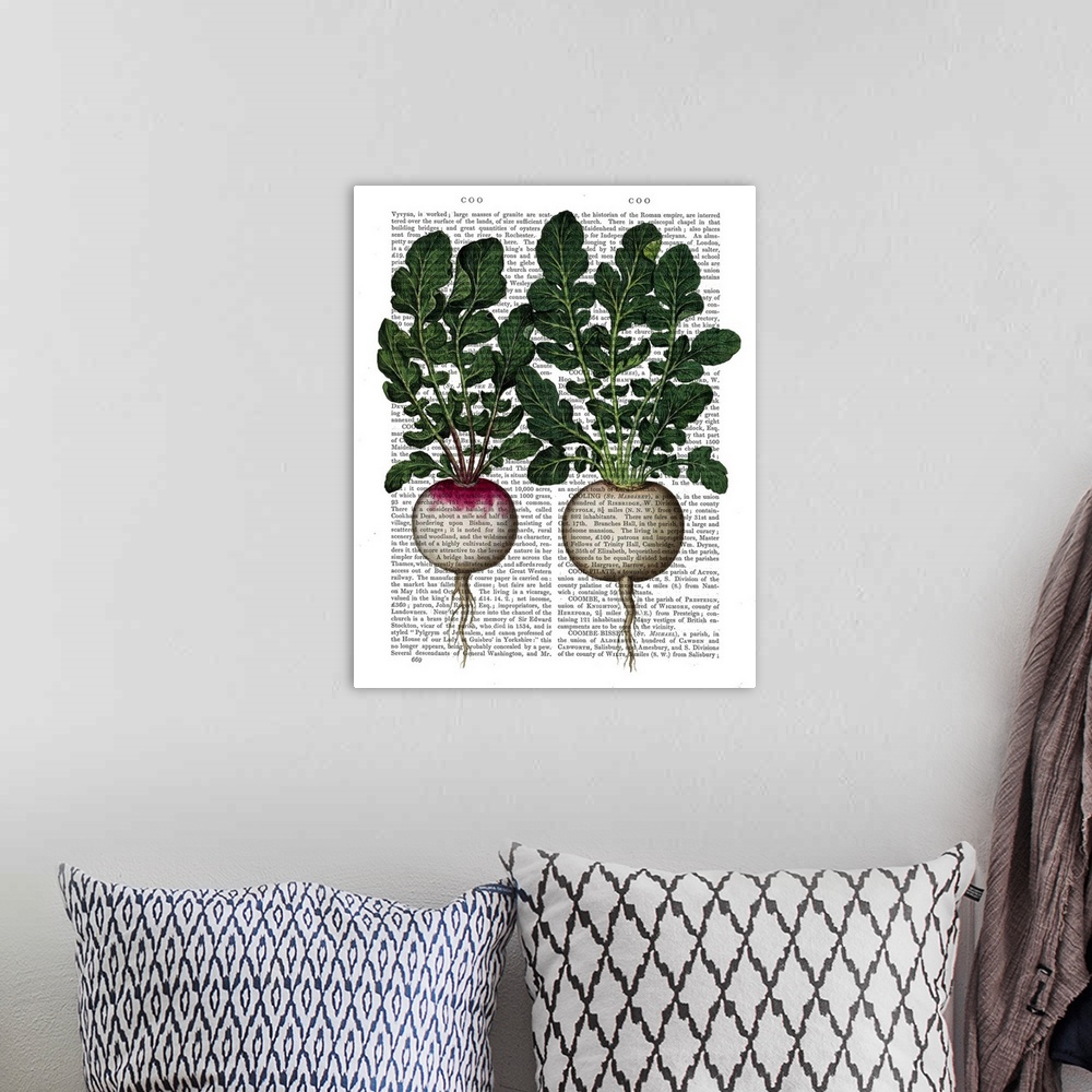 A bohemian room featuring Botanical illustration of radishes painted over a vintage dictionary page.