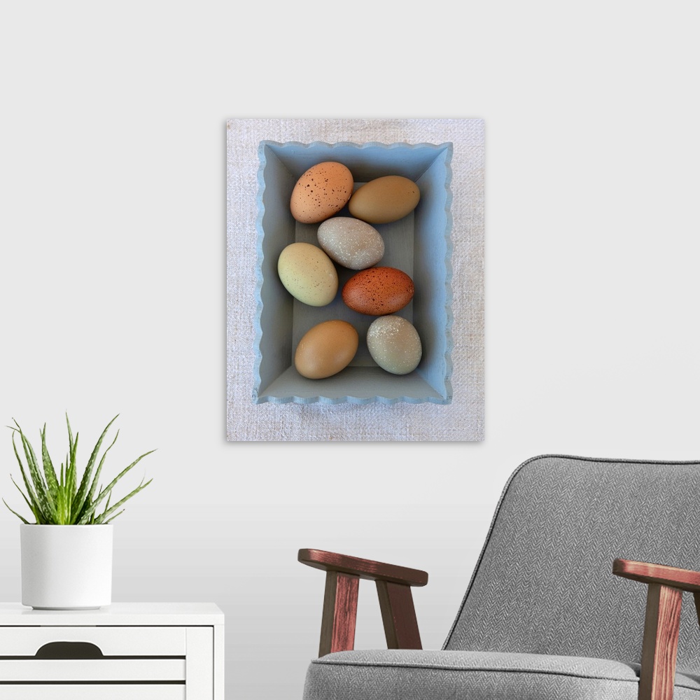 A modern room featuring Rainbow Eggs In Blue Box