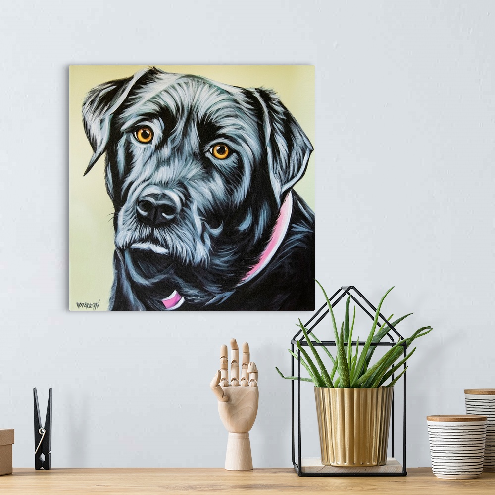 A bohemian room featuring Realistic Black Lab
