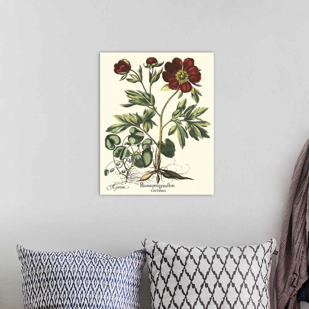 A bohemian room featuring Contemporary artwork of a vintage style botanical illustration.