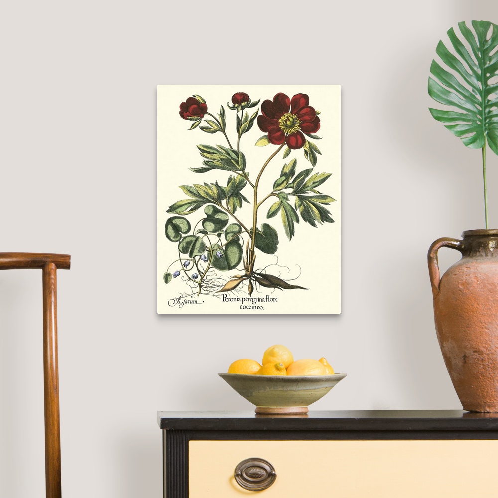A traditional room featuring Contemporary artwork of a vintage style botanical illustration.