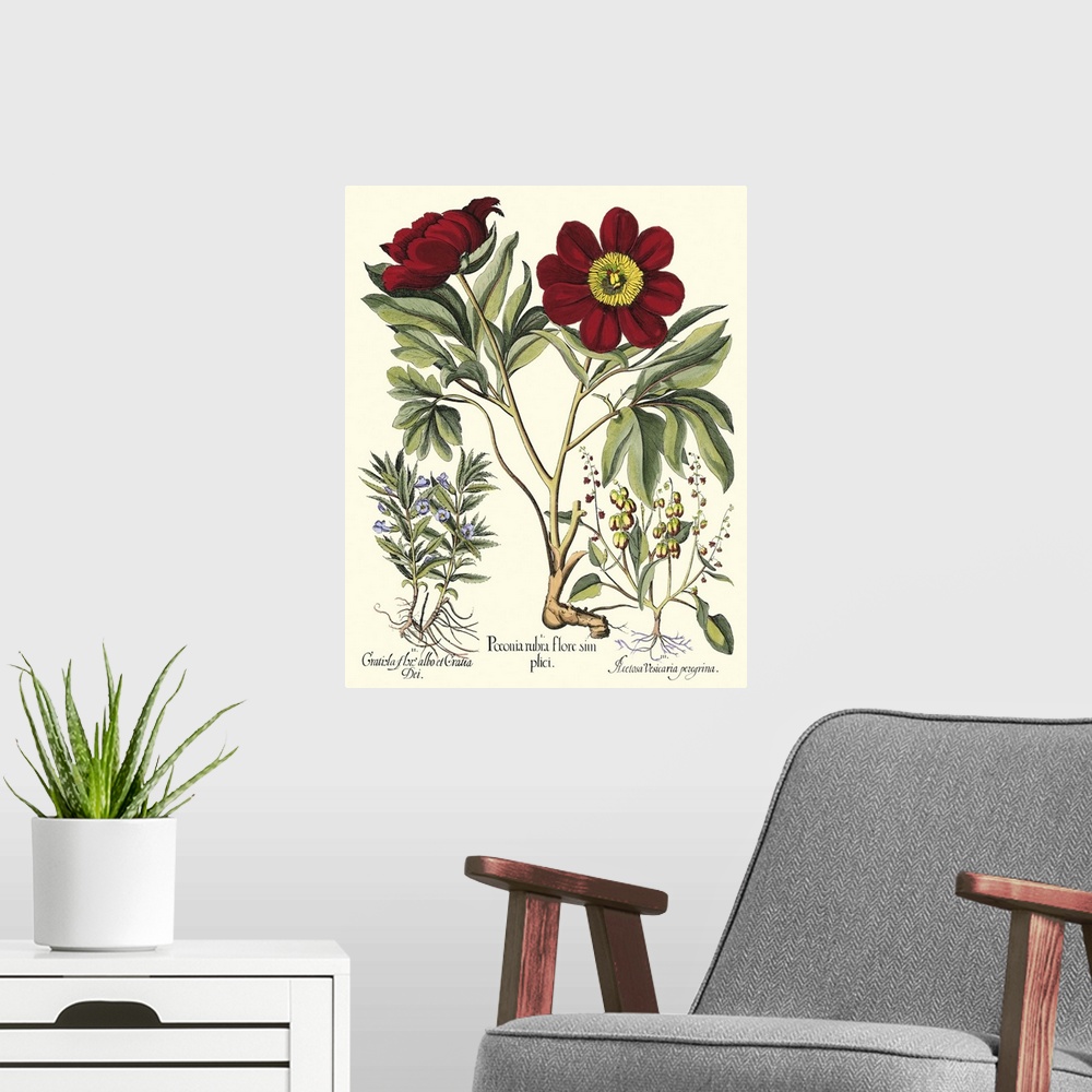 A modern room featuring Contemporary artwork of a vintage style botanical illustration.
