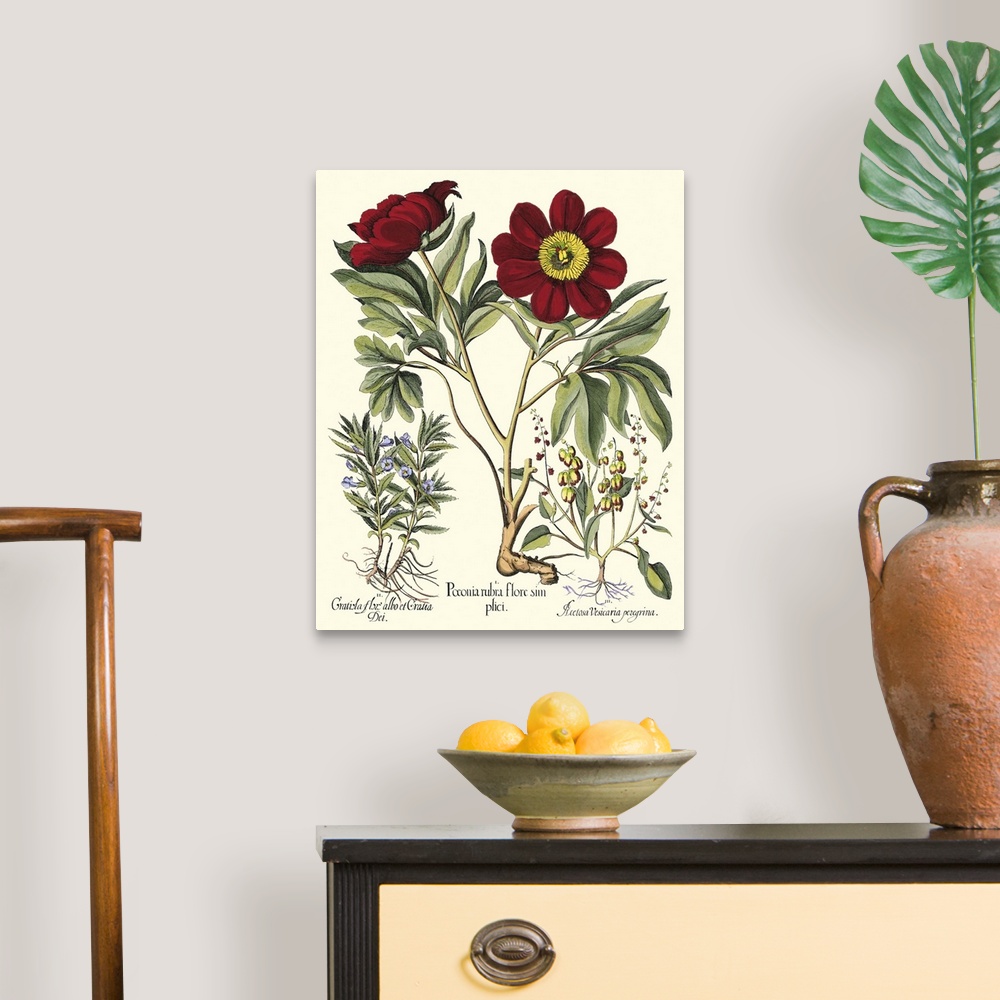 A traditional room featuring Contemporary artwork of a vintage style botanical illustration.